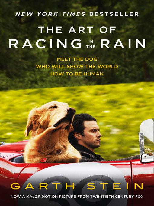 Title details for The Art of Racing in the Rain by Garth Stein - Available